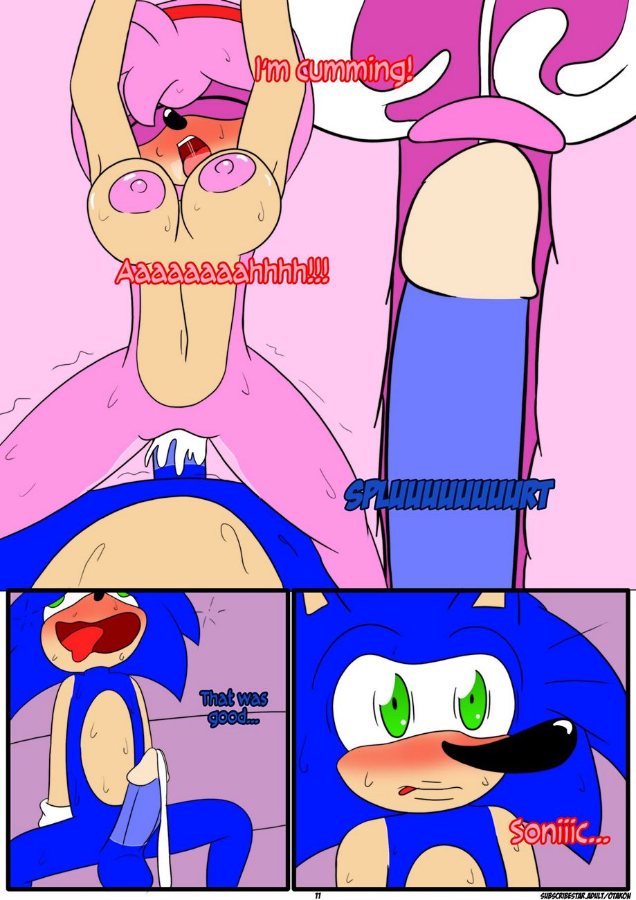 Amy Rose Any Love Porn Comic - Page 012