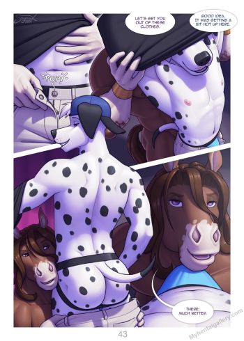 Cover of Bifurcation