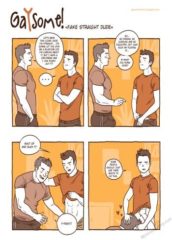 Cover of Gaysome!