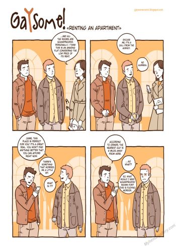 Cover of Gaysome!