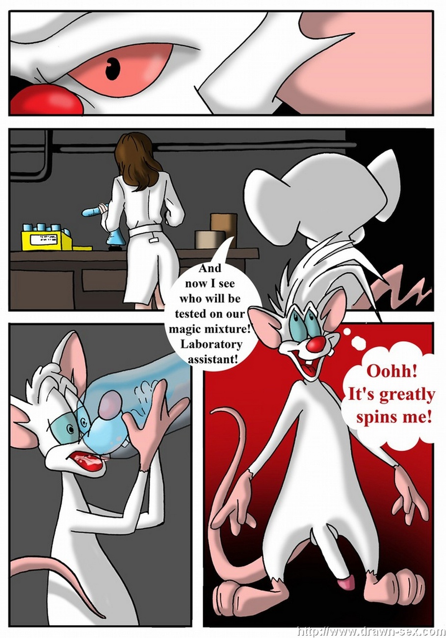 Pinky And The Brain Porn Comic - Page 004