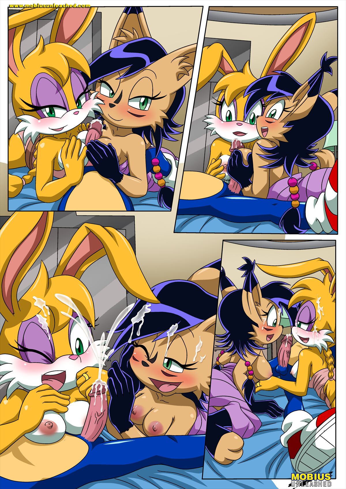 Sonic And Sally Break Up Porn Comic - Page 008