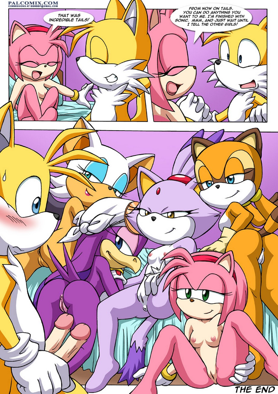 Sonic Project XXX 3 Porn Comic - Page 025