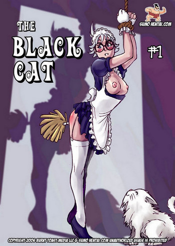 Black Cat Porn Comic - The Black Cat 1 Hentai HD Porn Comic - My Hentai Comics