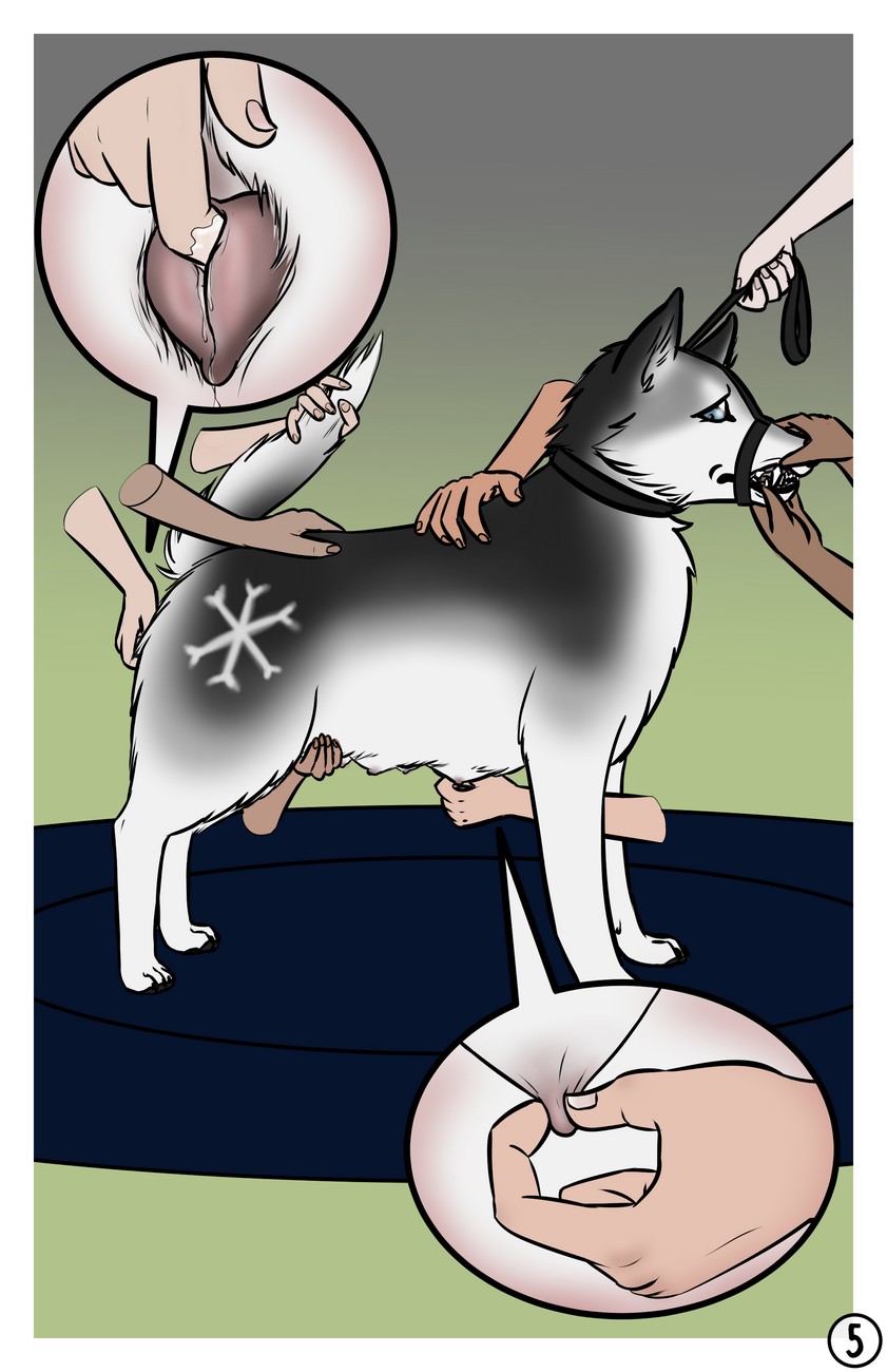 The Dog Show Porn Comic - Page 005