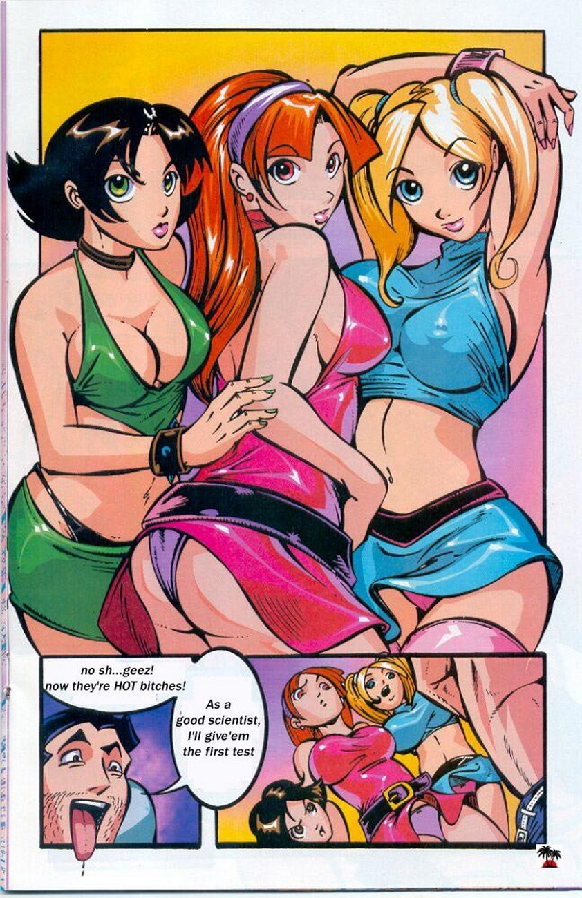 The Powerpuff Girls Porn Comic - Page 012