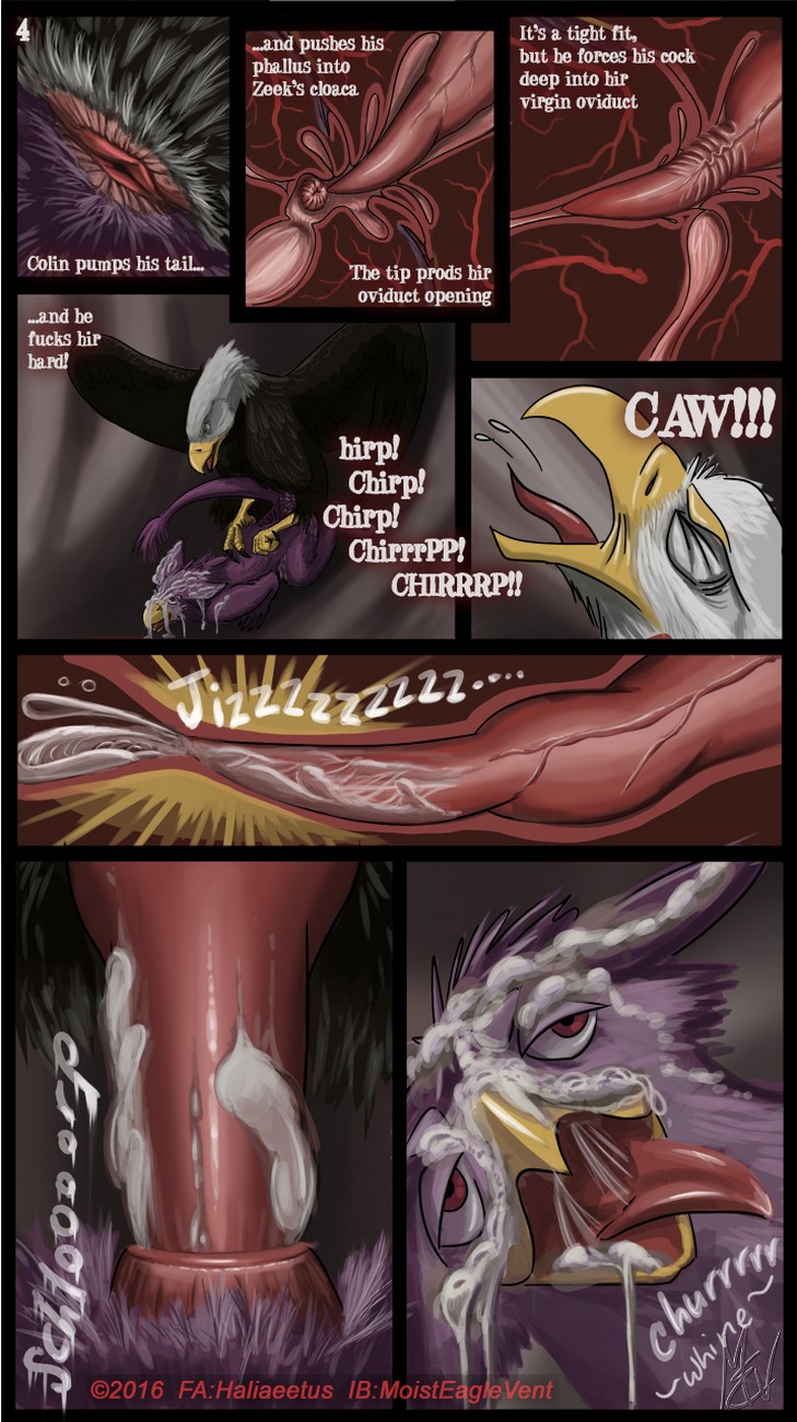 729px x 1300px - Zeek Finds An Eagle Eyrie Porn Comic - Page 004